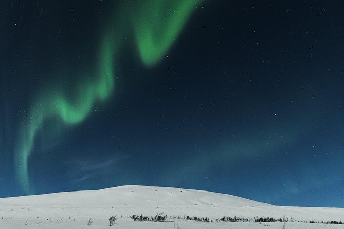 Northern lights cable car excursion - Price and value: where your money goes at $191.57