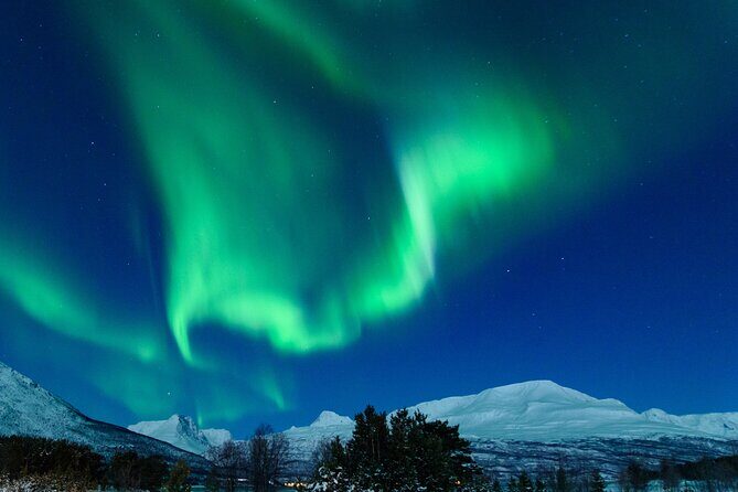 Northern Lights Chase by Bus in Tromso - Meeting at Samuel Arnesens gate 5: Timing, Getting Ready, and Not Freezing