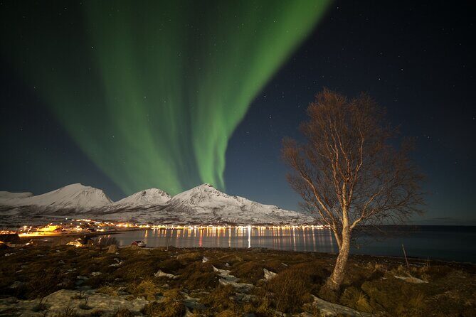 Northern Lights Chase by Bus in Tromso - Where You Go in Tromsø: Outside the City for Darker Skies