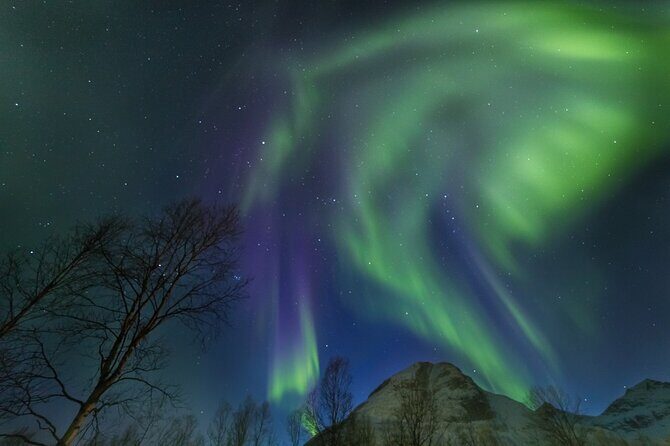 Northern Lights Chase by Bus in Tromso - Photography Help You Can Actually Use (Tripods and Portraits)