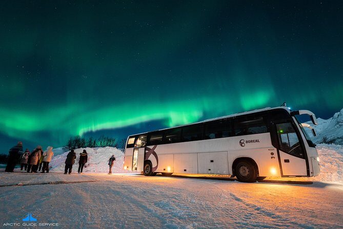 - Northern Lights Chase with Photo Package Included - Group size, bus vs minibus, and comfort in the dark