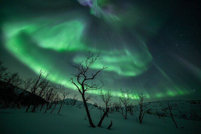 Northern Lights Expedition Tromsø - 6 people - Arctic Photo Guide - Northern Lights Expedition Tromsø: what this small-group chase really feels like