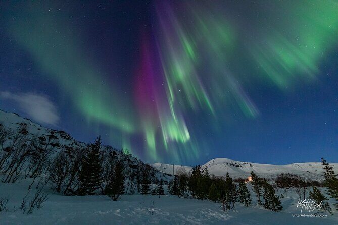 Northern Lights Guided Bus Tour with Free Photos - Key highlights at a glance