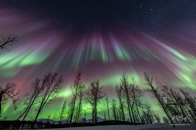 Northern Lights Guided Bus Tour with Free Photos - Tromsø at 6 pm: the vibe of a true aurora hunt