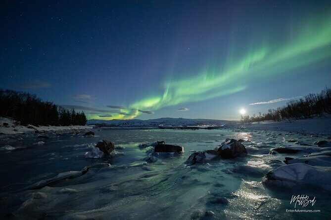 Northern Lights Guided Bus Tour with Free Photos - Warm food basics: hot drinks, snacks, and what dinner means for your plan