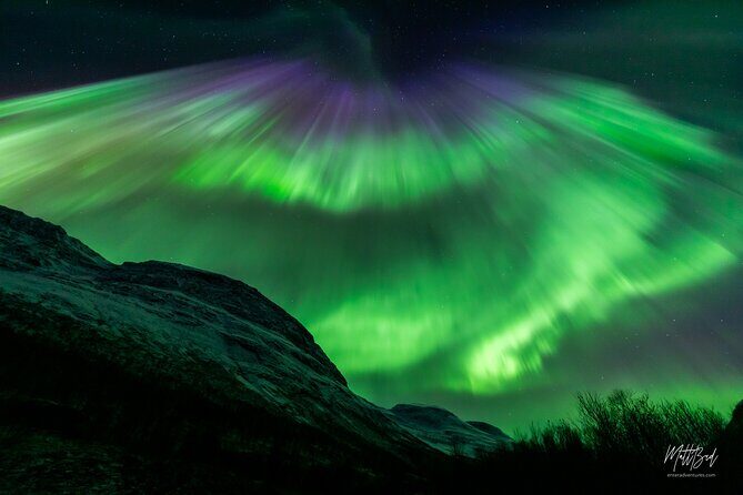 Northern Lights Guided Bus Tour with Free Photos - Price and value: what $106.80 buys in the real world