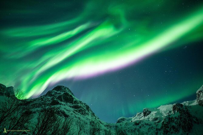 Northern Lights Hunt with The Green Adventure - photos included - Price and Value: Does $225.64 Make Sense for This Kind of Night?