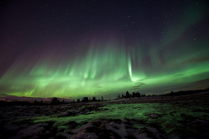 Northern Lights Husky Visit - Why this Tromsø husky-and-aurora night feels special