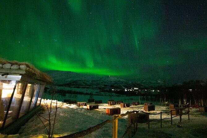 Northern Lights Husky Visit - Northern Lights watching: dark skies, no chase pressure