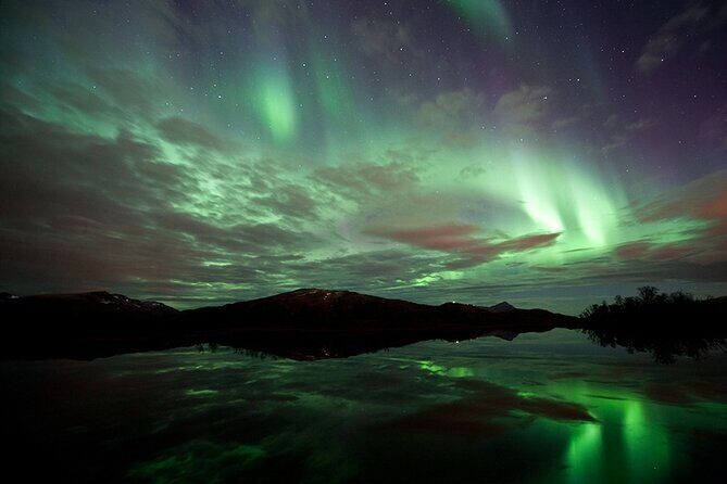 Northern Lights Husky Visit - Price and value: what $193.27 buys you in real terms