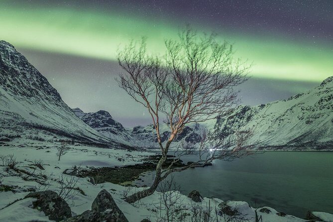 Northern Lights Private tour with your special ones - Greenlander - Tromsø at 6:00 pm: the night starts with pickup and a plan