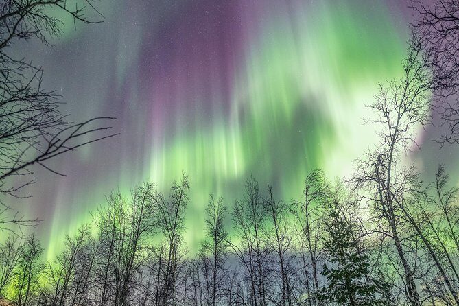 Northern Lights Private tour with your special ones - Greenlander - Who should book this Tromsø private northern lights tour