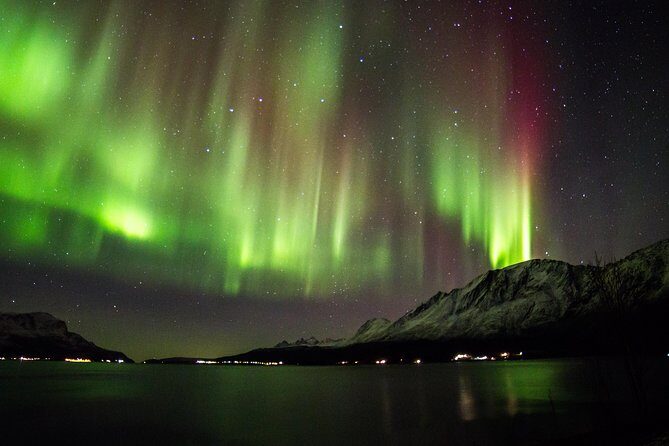 Northern Lights Safari from Tromso - Key points to know before you go