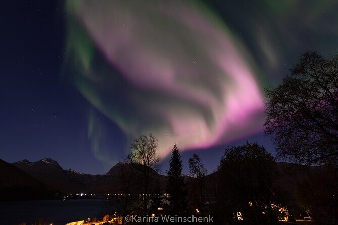 Northern Lights Safari from Tromso - Photo help and the tripod: making sure you actually bring something home