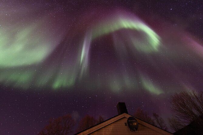 Northern Lights Safari from Tromso - Group size, language, and how the experience feels in the dark