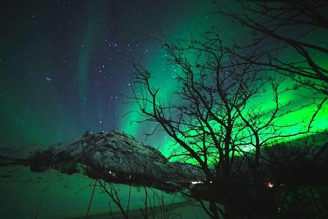 Northern lights - TeslaX Ecofriendly Car - Warm drinks, snacks, and why small comforts matter at night