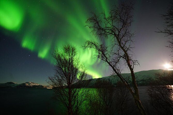 Northern lights - TeslaX Ecofriendly Car - Should you book this TeslaX eco-friendly aurora tour in Tromsø?