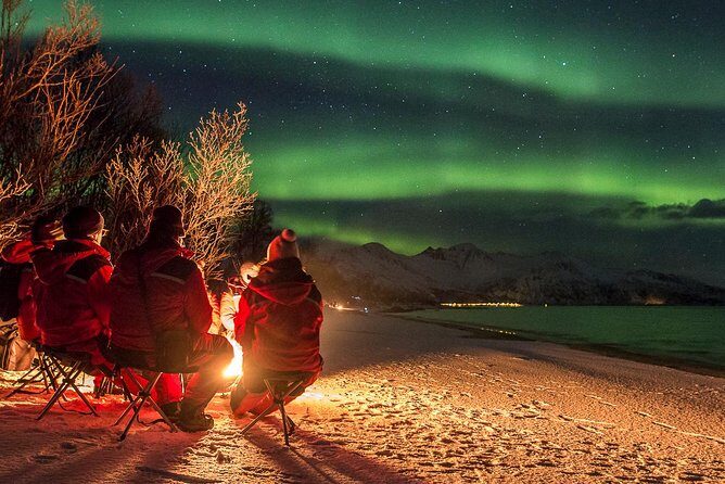 Northern Lights Tour from Tromsø - Campfire dinner and hot drinks: Norwegian comfort before the sky show