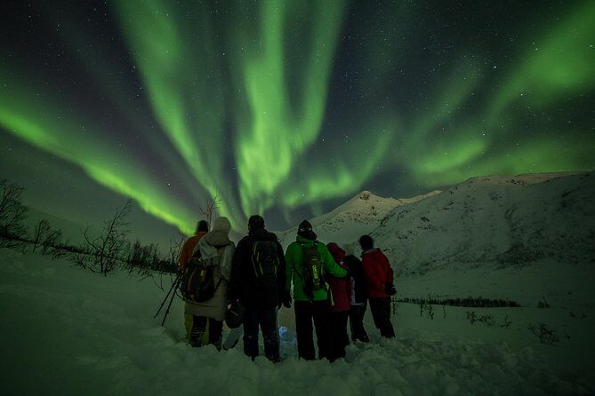 Northern Lights Tour from Tromsø - How guides boost your odds: location changes and constant monitoring