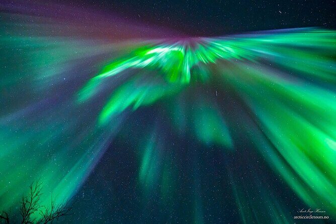 Northern Lights Tour, Photo, Toilet, Meal, Skycam in Mbus - Meeting at Ami Hotel: Gear Up, Then Go Hunt