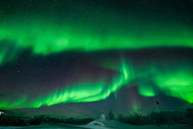 Northern Lights Tour, Photo, Toilet, Meal, Skycam in Mbus - Price and Value: Is $236.45 Worth It?