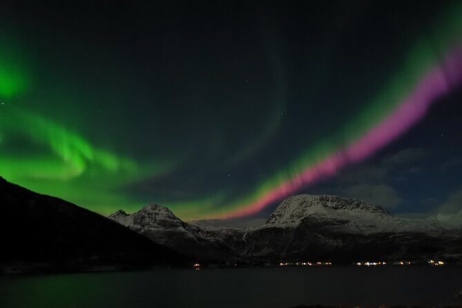 Northern Lights Tour, Tromso, Local Guide, Private Basecamp - Key Things I’d Pay Attention To