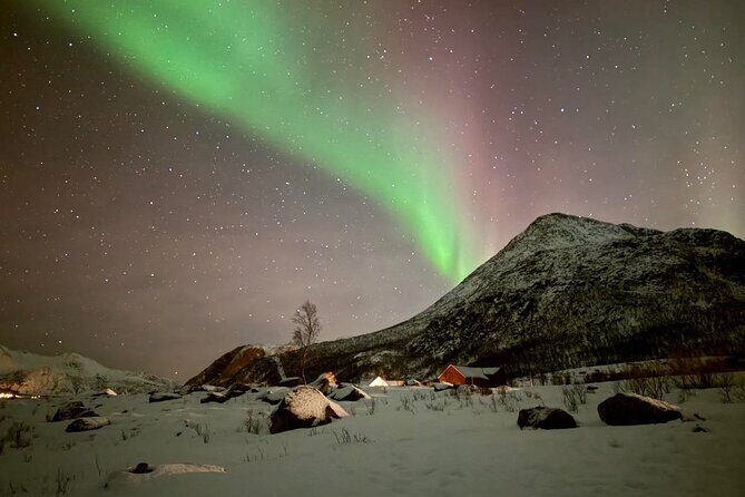 Northern Lights Tour with Hot Food and Drinks in Tromso - Tromsø at 6:20 pm: the night flow that sets you up