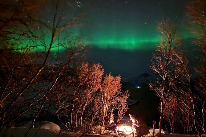 Northern Lights Tour with Hot Food and Drinks in Tromso - How long you’ll wait for the aurora (and why it can feel late)