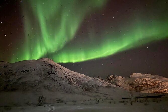 Northern Lights Tour with Hot Food and Drinks in Tromso - Photography help: more than taking pictures, it’s capturing motion