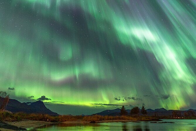 Northern Lights Tour with Local Guide and Photos - Price and Value: Paying $198.50 for Transport, Warmth, and Photos