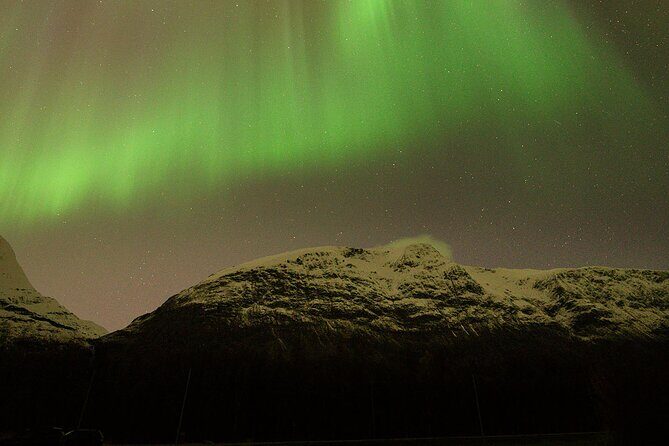 Northern Lights Tour with Local Guide and Photos - Who This Tour Fits: Ages, Language, and Group Size