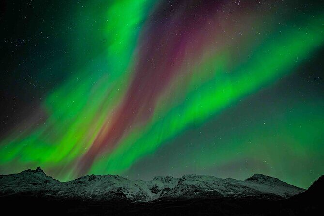 Northern Lights Tour with small group of 8 people - Key Points I’d Focus On Before You Go