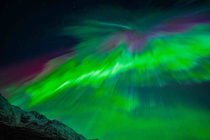 Northern Lights Tour with small group of 8 people - Bonfire Dinner: Soup, Hot Chocolate, and the Cozy Middle of the Night