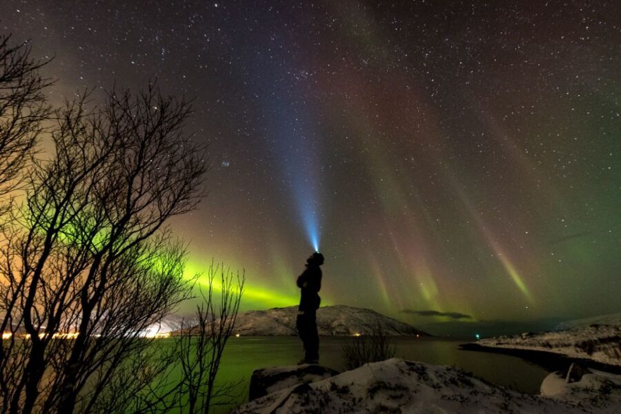 Northern lights Tromsø - small group tour with local guide - The Secret Stop: Coffee, Local Snacks, a Warm Meal, and a Real Photo Setup