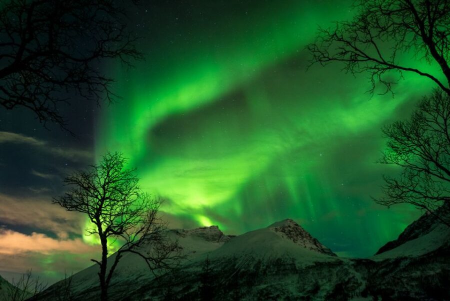 Northern lights Tromsø - small group tour with local guide - The Aurora Reality Check: What You Can Control and What You Can’t