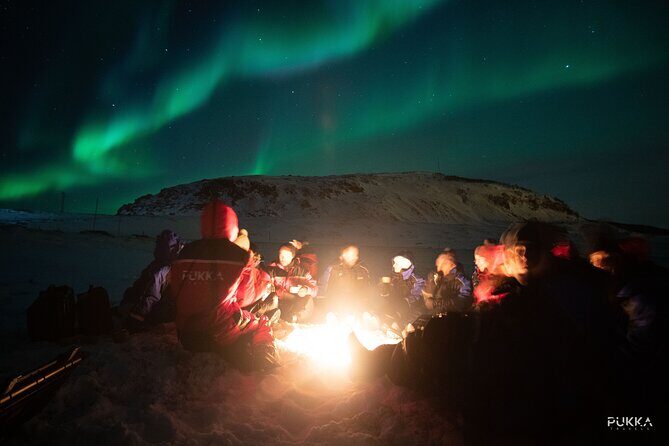 Northern Lights x Mini Bus Chase - Why a Tromsø minibus chase beats the big-bus aurora plan