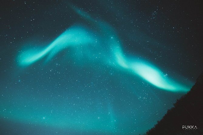 Northern Lights x Mini Bus Chase - Tromsø to the darker spots: how the chase works in real life