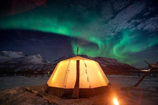 Overnight Stay with Reindeer Sledding & Feeding - Key Highlights Worth Your Attention