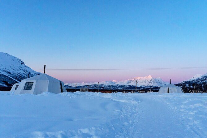 Overnight Stay with Reindeer Sledding & Feeding - Tromsø Start: Meet at Fredrik Langes gate and Go Quiet Fast