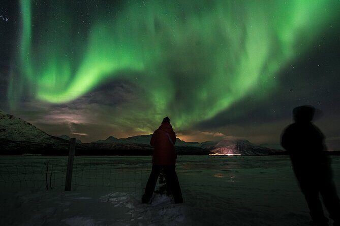 Private & Exclusive Northern Lights Tour with Professional guide - Snacks, hot stew, and gear help you stay out longer
