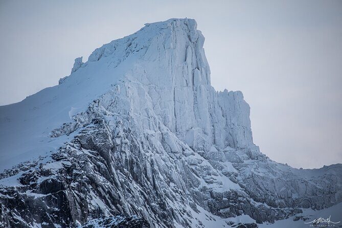 Private fjord tour with premium 4×4 vehicle - The Guide Factor: Arbo’s Timing, Personality, and Photo Help