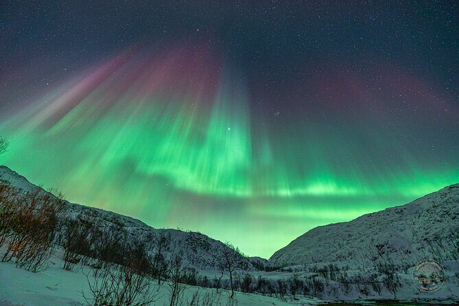 Private Northern Lights Chase with Photography from Tromsø - Photography Support That’s More Than Point and Shoot