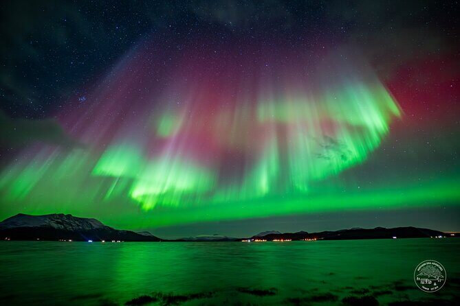 Private Northern Lights Chase with Photography from Tromsø - Timing, Duration, and What the Night Really Feels Like