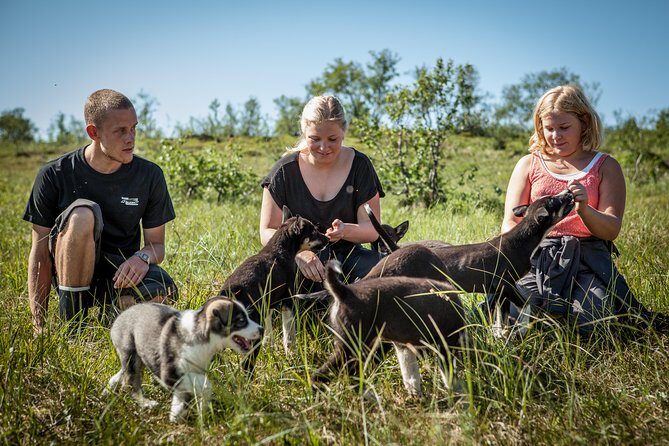Puppy Training Experience at a Husky Farm in Tromso - Lunch at the Husky Farm: Fish Stew, Vegetarian Couscous, and Cake by the Fire