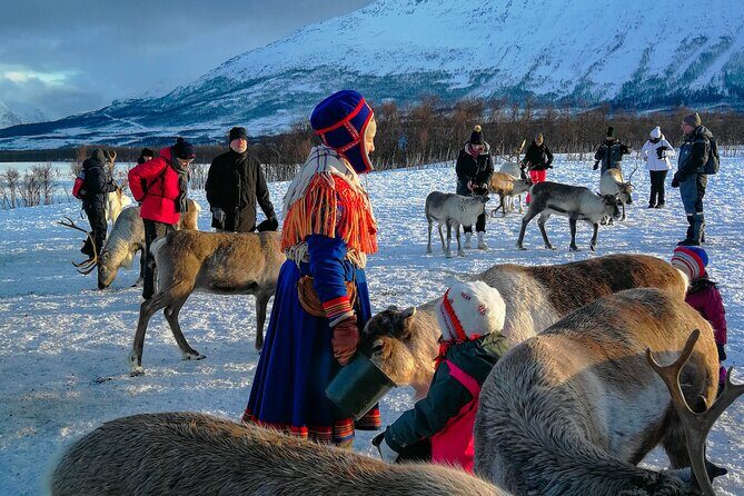 Reindeer Feeding and Sami Culture Afternoon Departure - Who this tour suits best (and who might want a different plan)