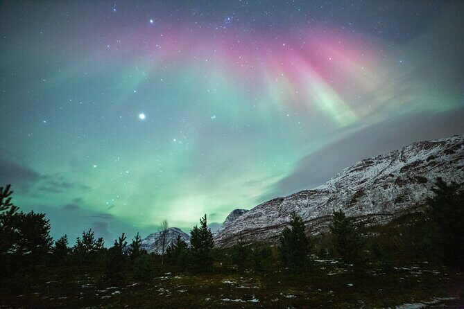 Reindeer Feeding and Sledding, Sami Storytelling Night Tour - The Drive Through Lavangsdalen and Along Balsfjord Views