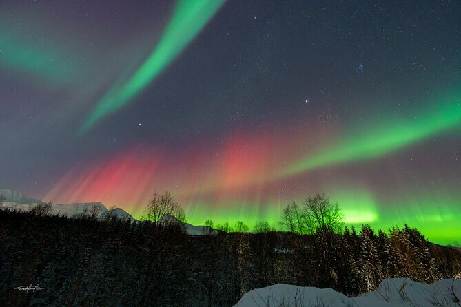 Reindeer Feeding and Sledding, Sami Storytelling Night Tour - Northern Lights: How to Plan for the Chance, Not the Promise