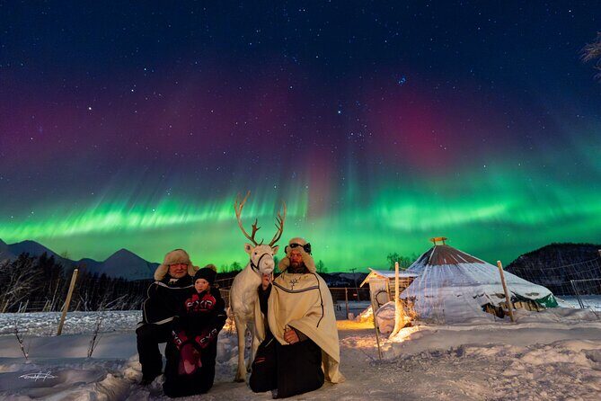 Reindeer Feeding and Sledding, Sami Storytelling Night Tour - Who This Tour Fits Best (and Who Might Want Another Option)