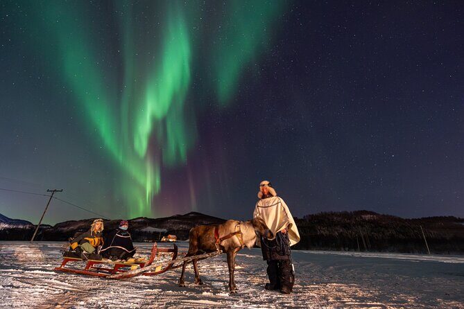 Reindeer Feeding and Sledding, Sami Storytelling Night Tour - Should You Book This Tromsø Sami Camp Night?