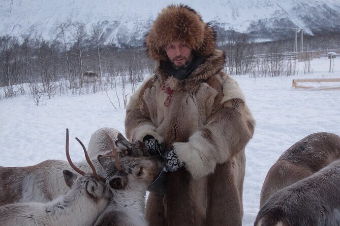 Reindeer feeding & Saami Culture - Your Warm Break in a Sámi Lavvu Tent